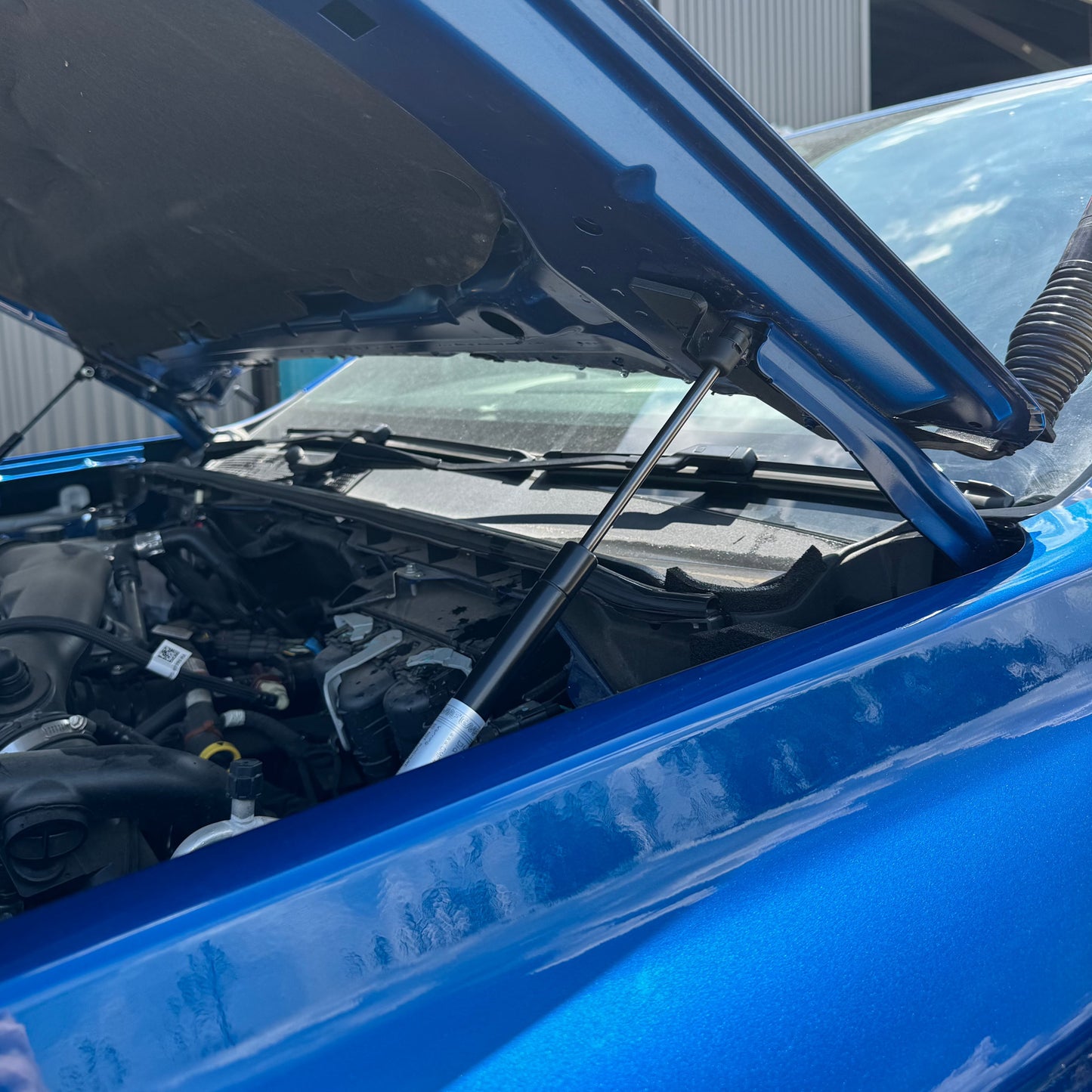 2023.5 - Current Ford Ranger, Raptor, Everest RA Strut Kits
